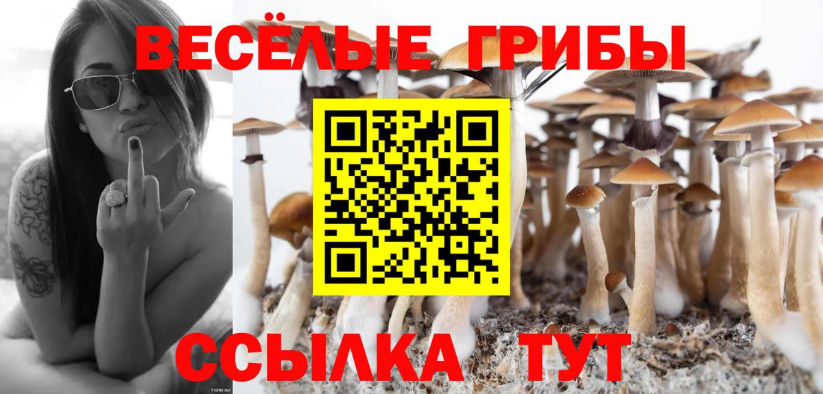 Галлюциногенные грибы Psilocybe  Вход с VPN  Пугачёв  Галлюциногенные грибы Psilocybe 